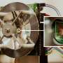 New imager microchip helps devices bring hidden objects to light