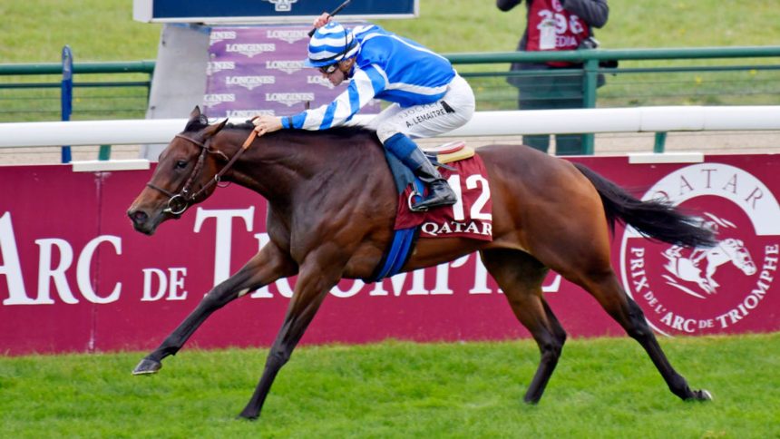 blue-rose-cen-blossoms-in-french-1000-guineas-success
