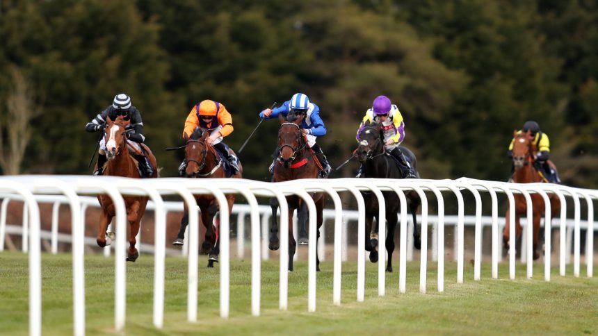 monday-tips:-elliot-david’s-five-to-follow-at-windsor-and-wolves!